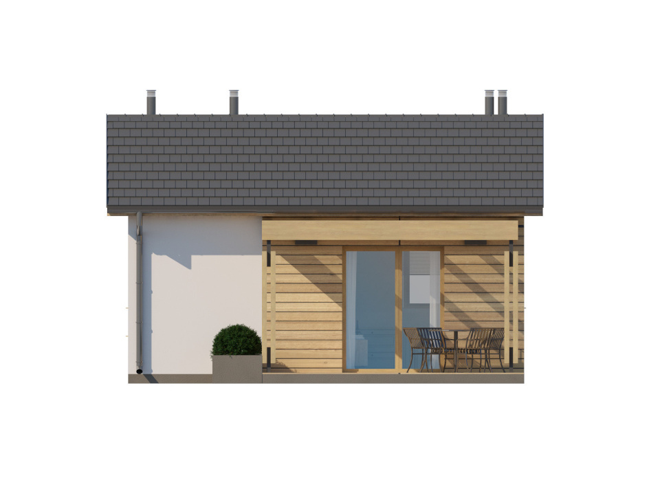 D311 (odbicie lustrzane) - miniatura 4