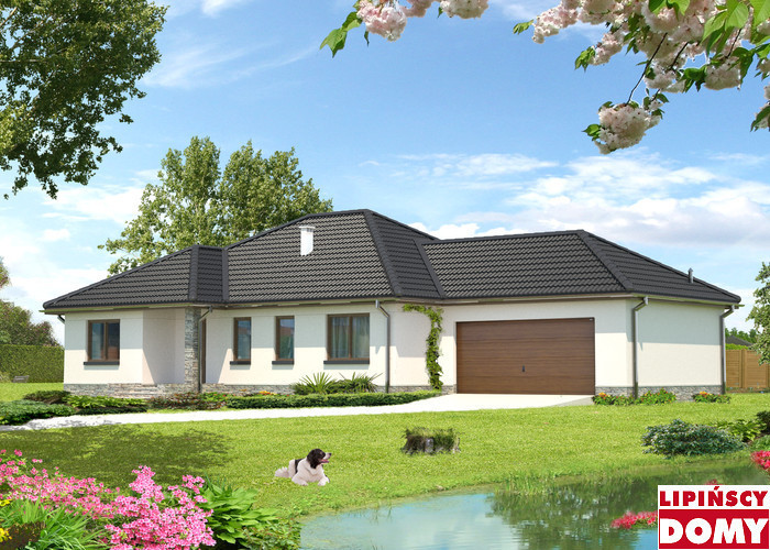 budowa domu Aleksandria DCP170 - New-House