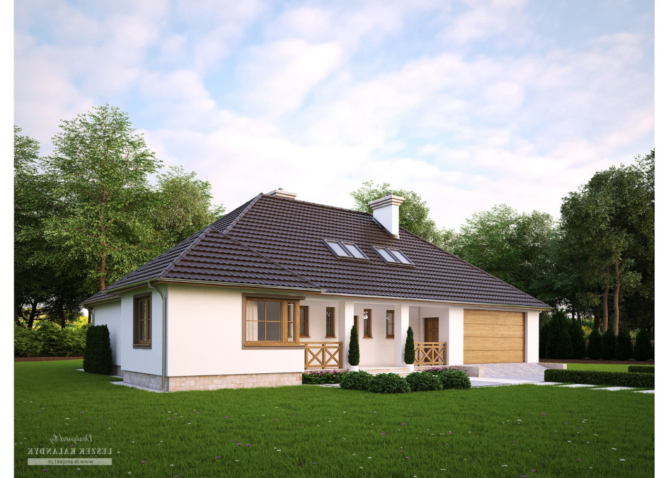 LK&299 (odbicie lustrzane) - miniatura 2