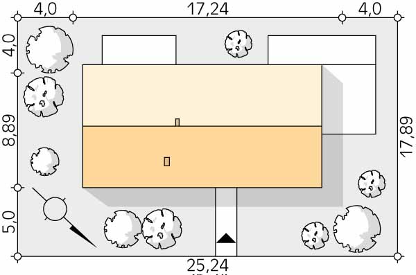 Paproć 3 - miniatura 9