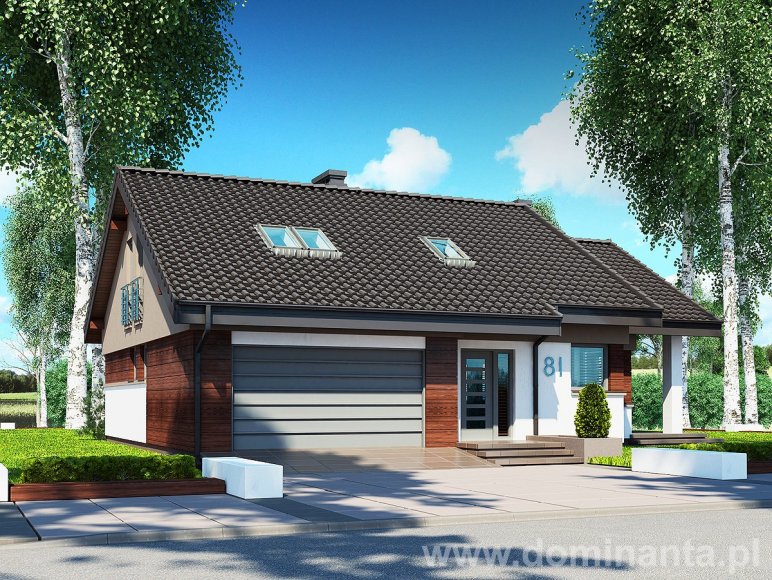 budowa domu NEL II 2G (Odbicie lustrzane) - New-House