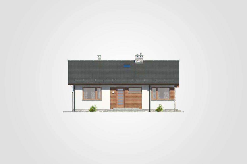 Roy - miniatura 5