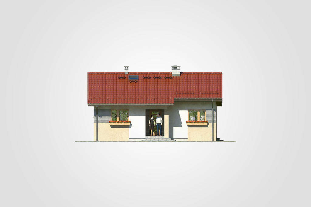 Ronaldo - miniatura 5