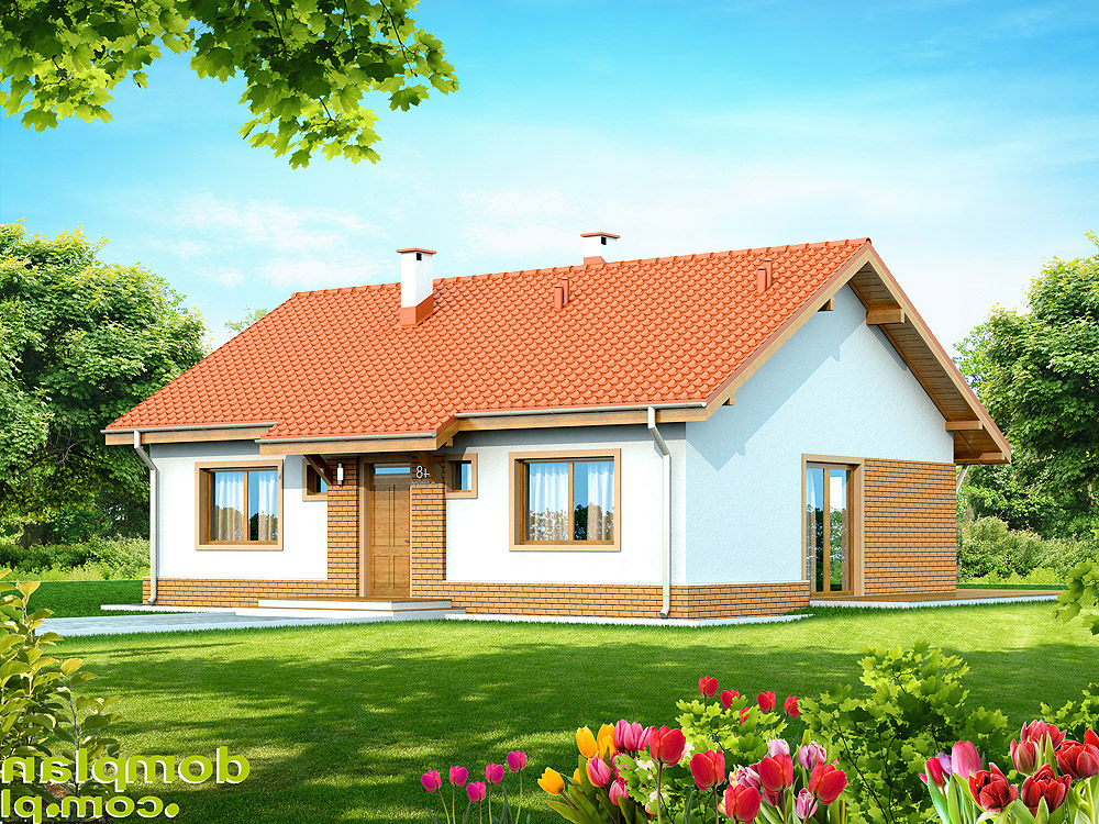 budowa domu SANTIA (Odbicie lustrzane) - New-House