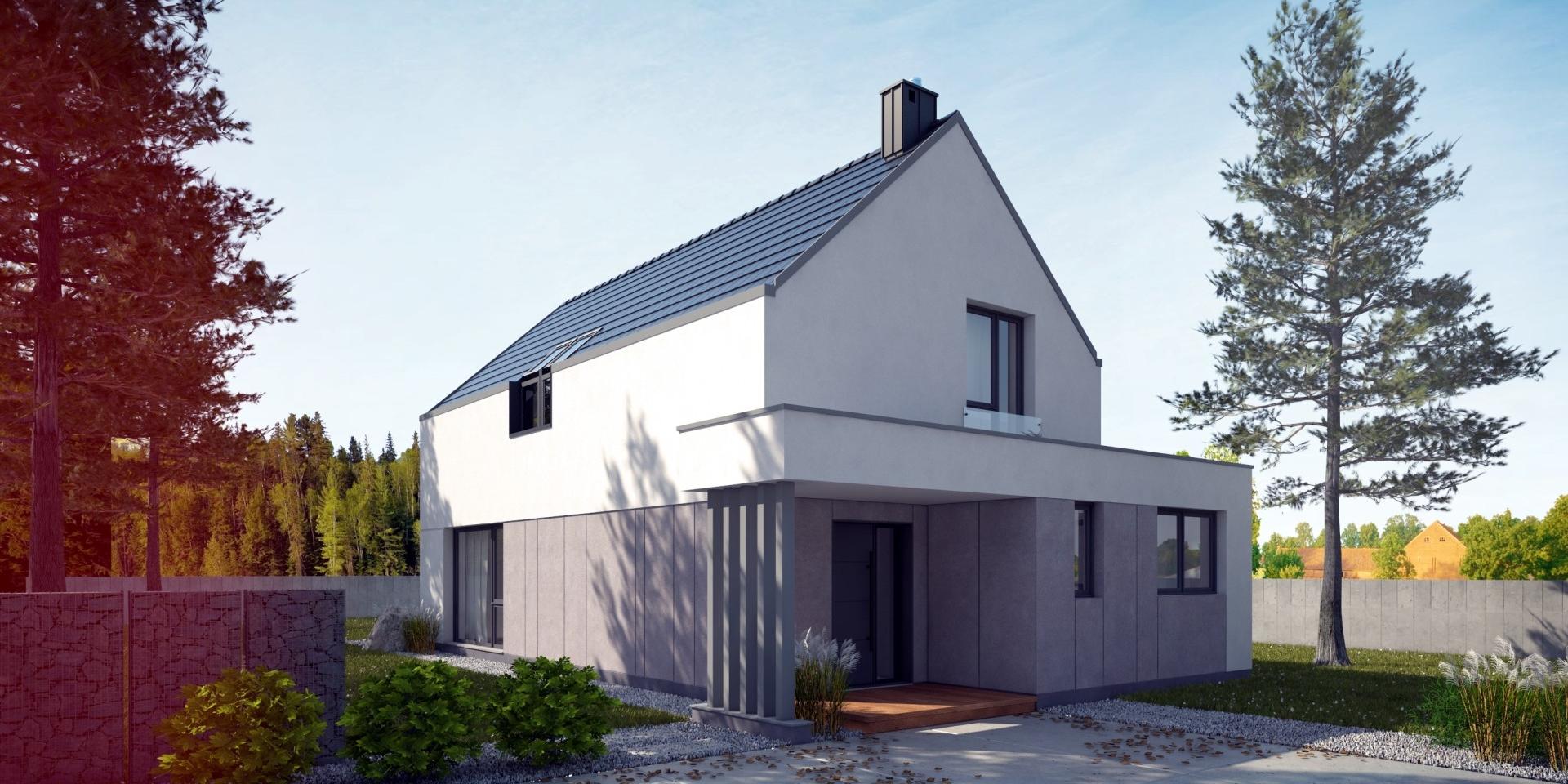 budowa domu Amoenus II (Odbicie lustrzane) - New-House