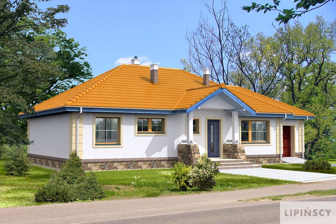 budowa domu Arezzo LMB81 - New-House
