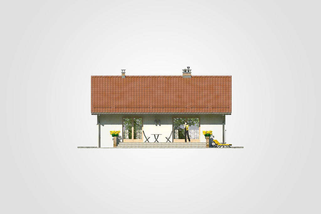 Ronaldo III (odbicie lustrzane) - miniatura 5