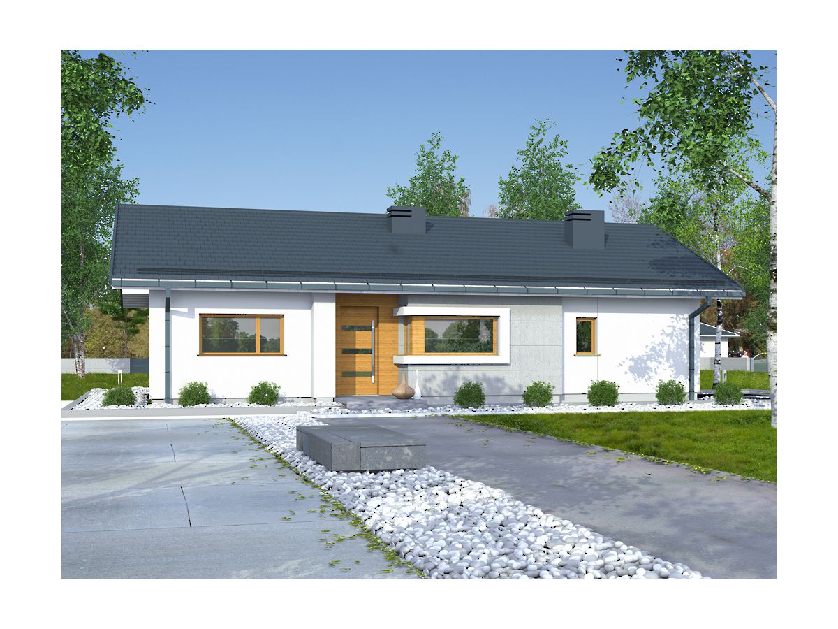 budowa domu Nevada 2 (odbicie lustrzane) - New-House