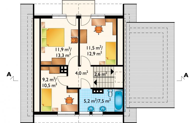 Aster - miniatura 5