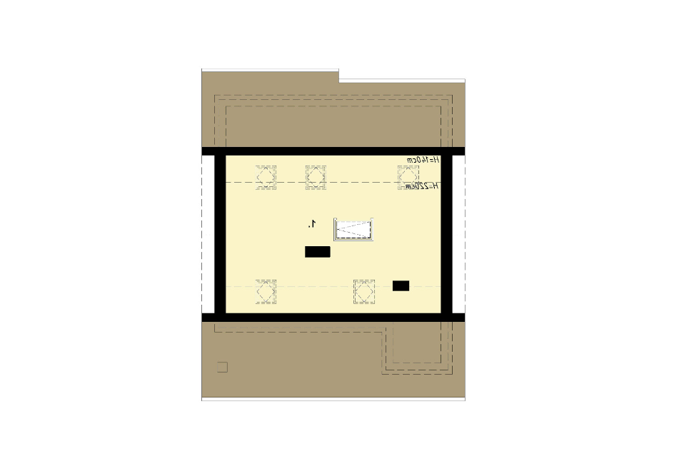 D141 (odbicie lustrzane) - miniatura 8