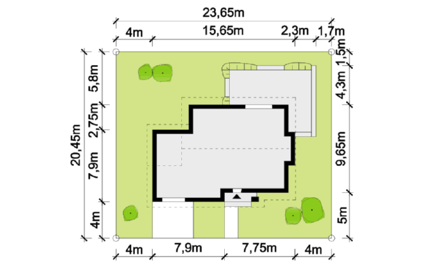 Asymmetricus I G1 - miniatura 2