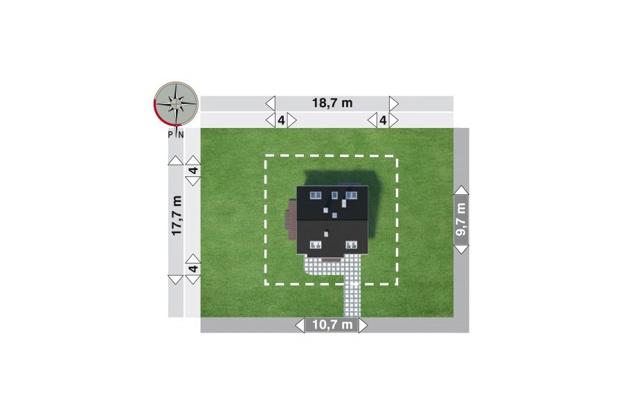 Tola - miniatura 5