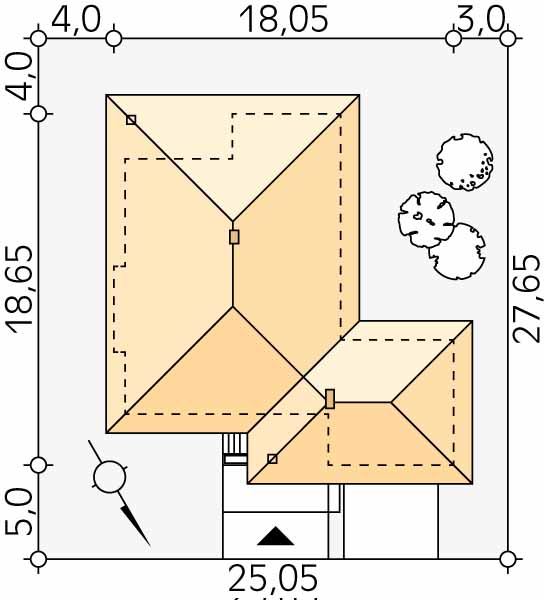 Aster 3 - miniatura 5