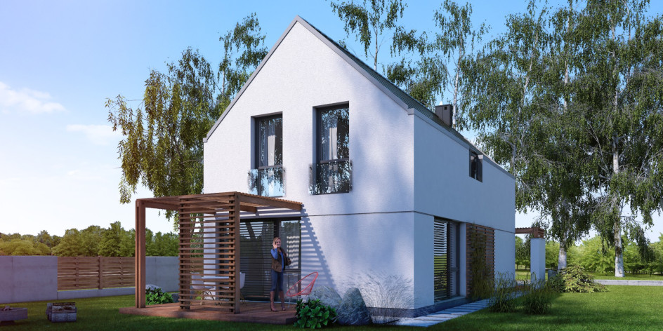 Amoenus I G1 - miniatura 3