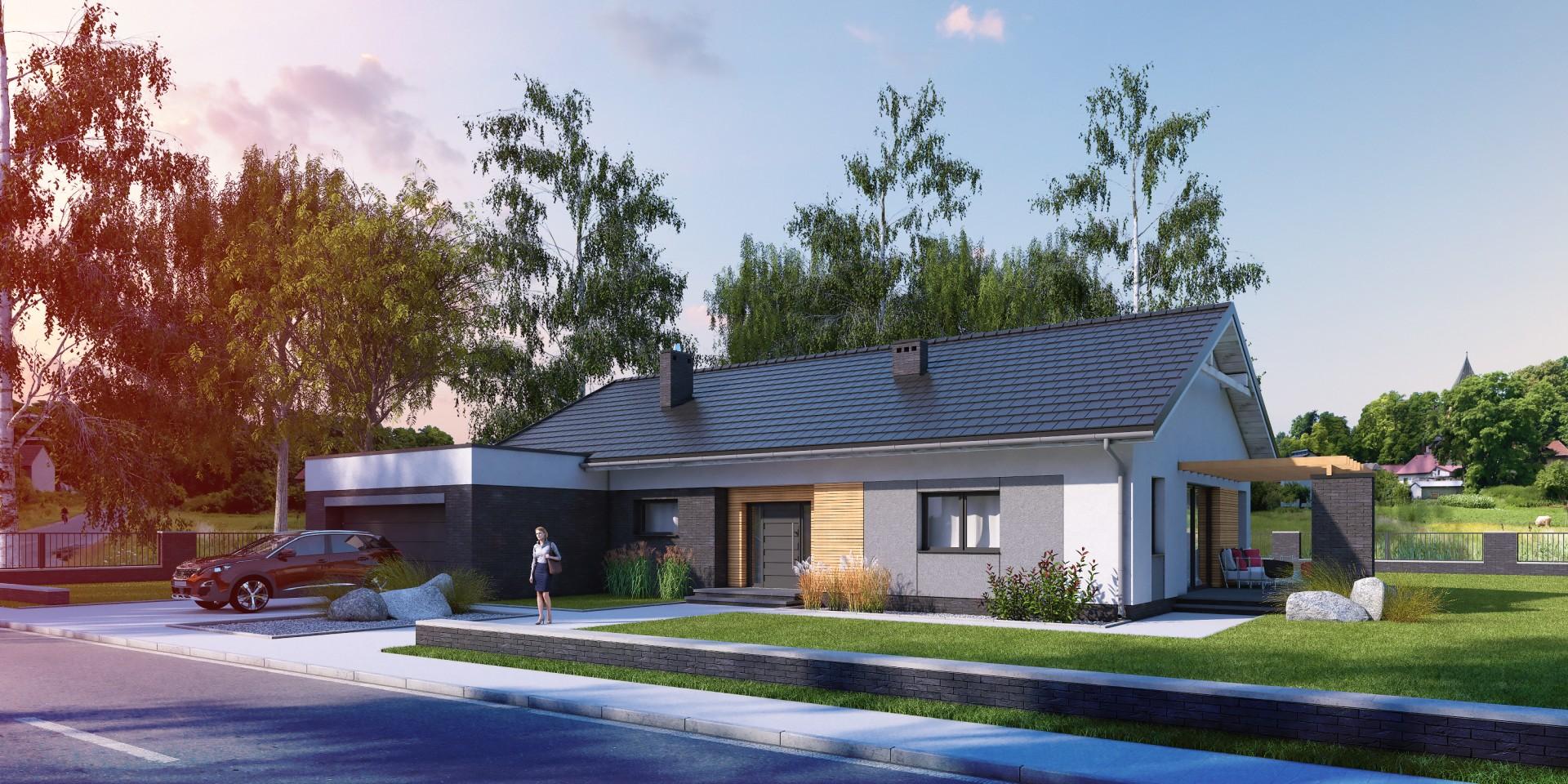 budowa domu Gelidus I PG2 (Odbicie lustrzane) - New-House