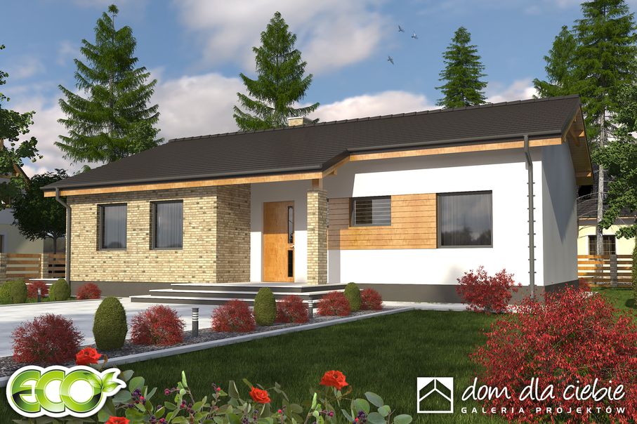 budowa domu Milena bez garażu [B] (odbicie lustrzane) - New-House