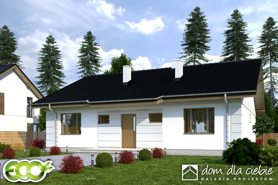 budowa domu Nasturcja bez garażu [B] (odbicie lustrzane) - New-House