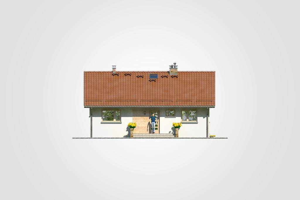 Ronaldo III - miniatura 6