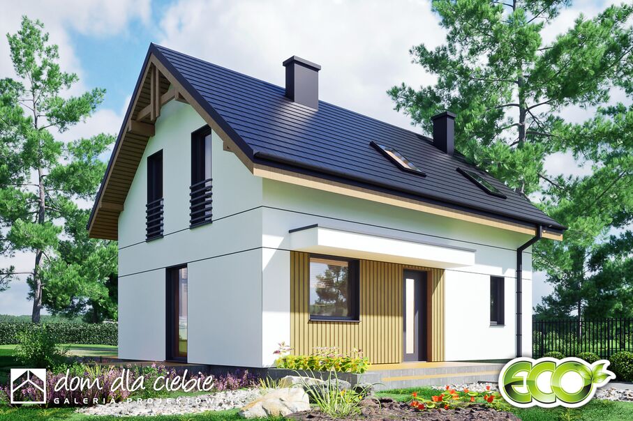 budowa domu Borówka bez garażu [B] - New-House