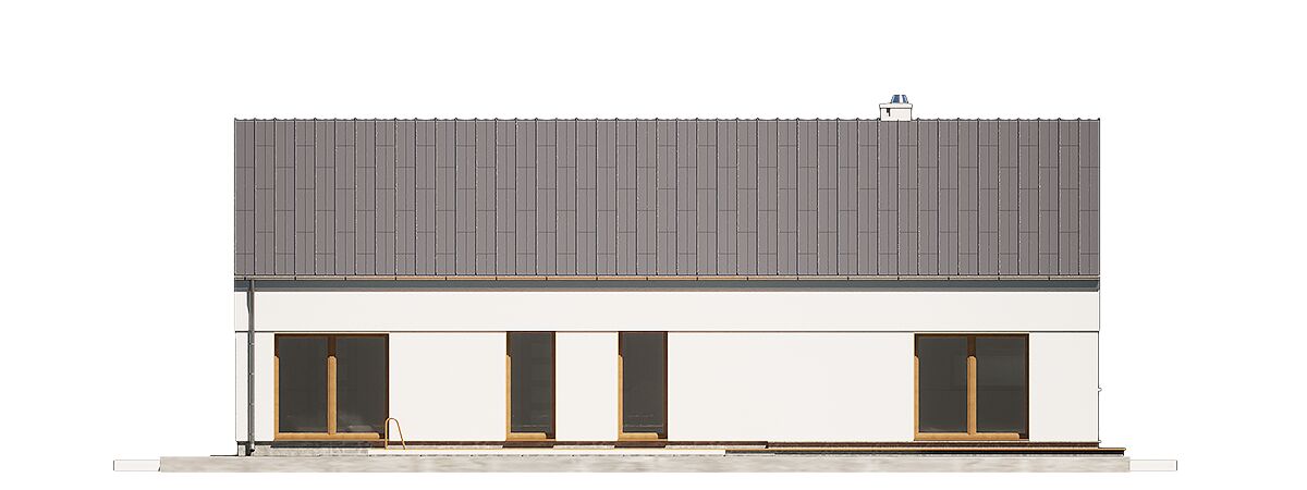 Złota z wiatą [A1] (odbicie lustrzane) - miniatura 4