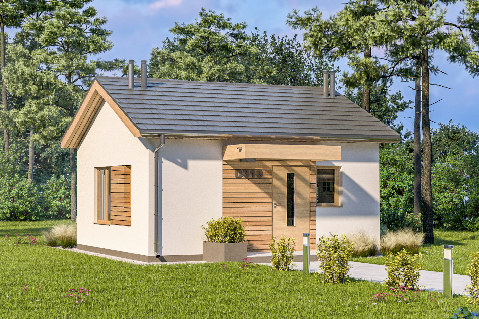 Budowa domu D313 z New-House