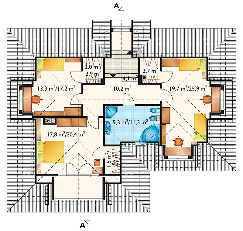 Amber - miniatura 4