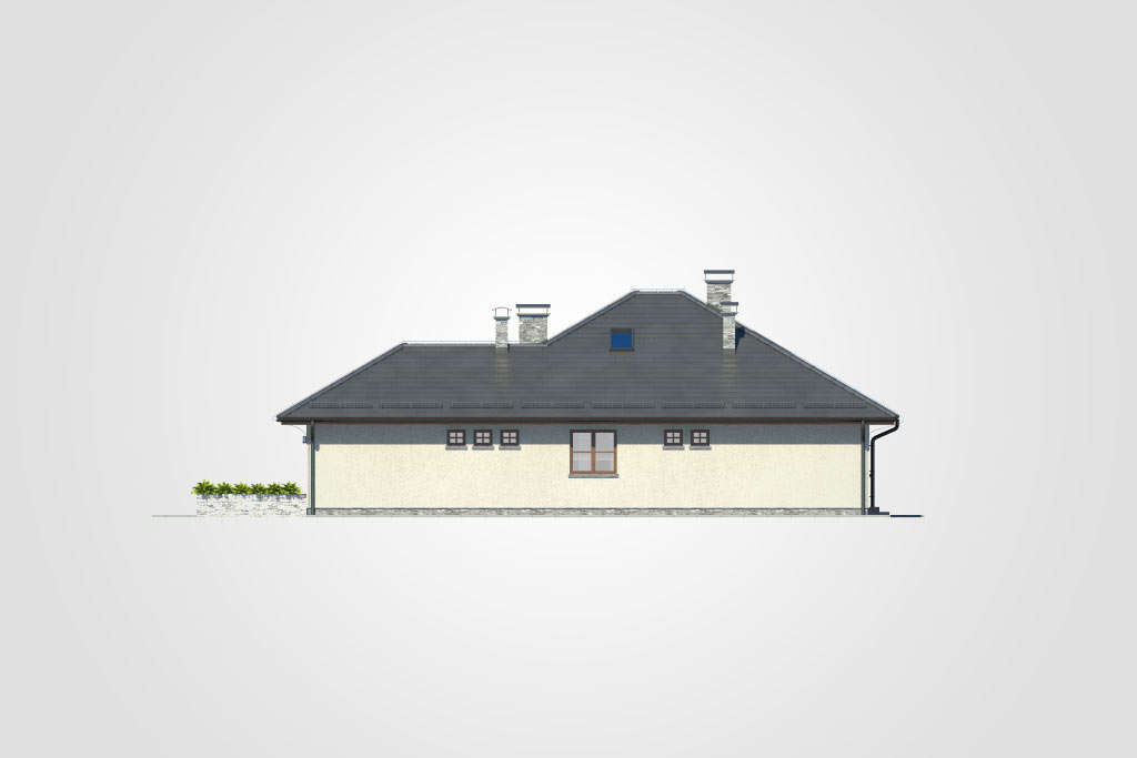 Faktor Plus (odbicie lustrzane) - miniatura 10