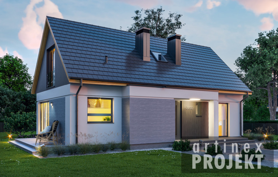 D295 - WT2021 (odbicie lustrzane) - miniatura 2