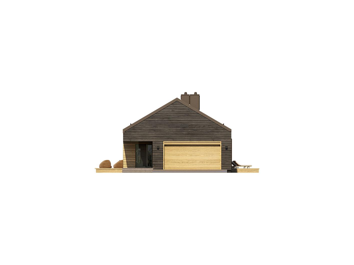 Leon 2 (odbicie lustrzane) - miniatura 2