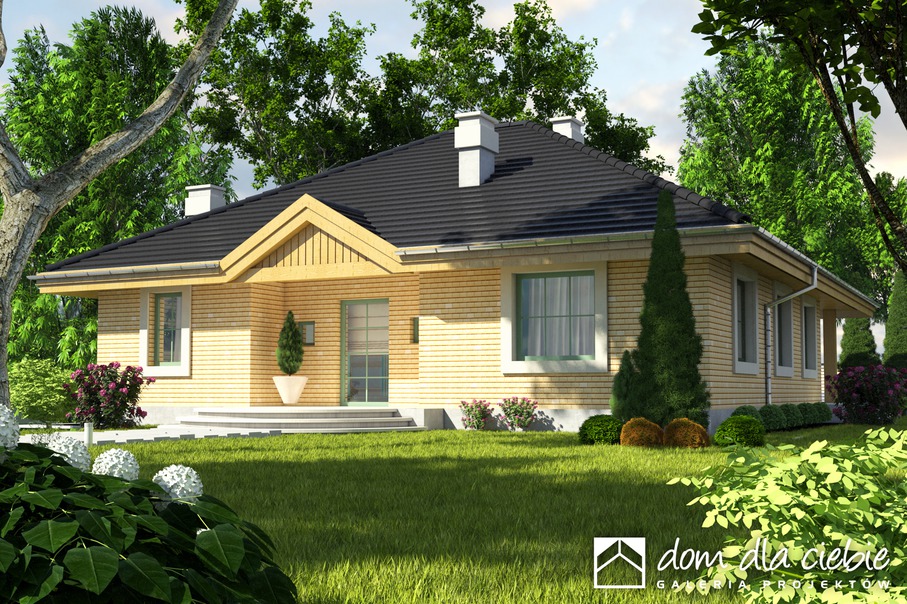 budowa domu Tomaszek II bez garażu [B] (odbicie lustrzane) - New-House