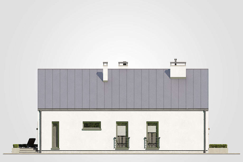 Pelikan Slim V (odbicie lustrzane) - miniatura 5