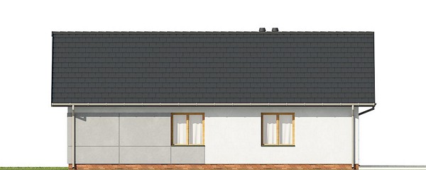 Angularis I G1 - miniatura 6