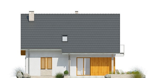 Silvestris I G1 (Odbicie lustrzane) - miniatura 5
