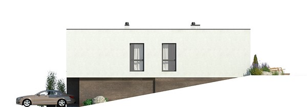 Obliquus I G1 (Odbicie lustrzane) - miniatura 6