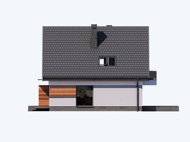Nemo - miniatura 7
