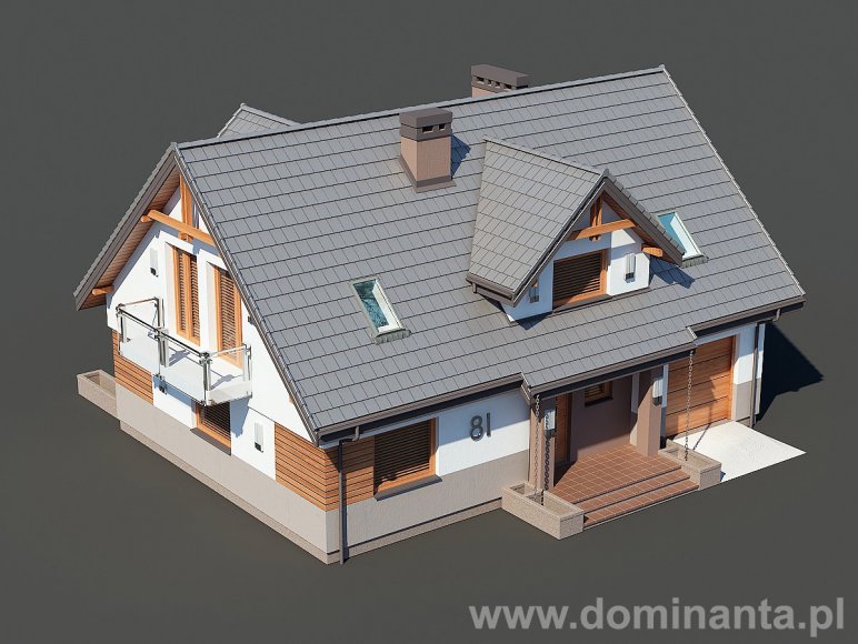 DŻIN N - miniatura 4