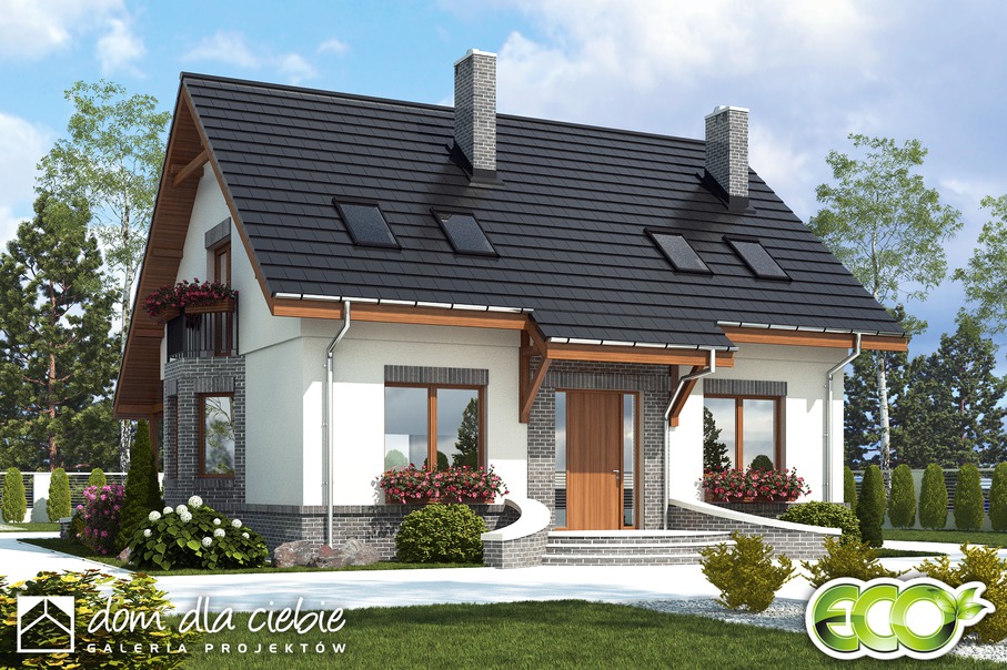 budowa domu Dom Dla Ciebie 2 w2 bez garażu [B] - New-House
