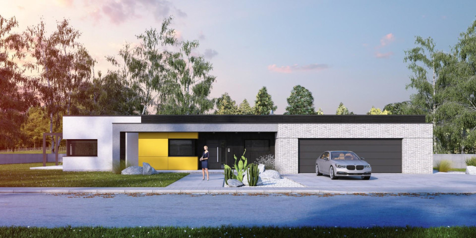 budowa domu ILLECEBROSUS VI G3 (lustrzane odbicie) - New-House