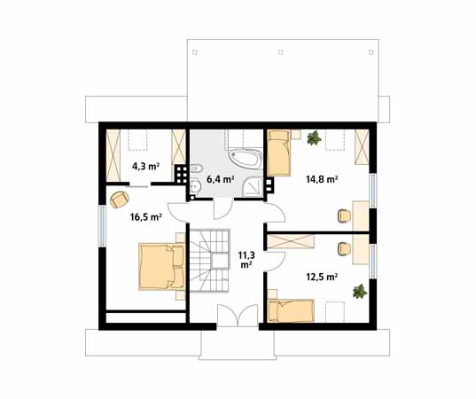 Arnika 2 dr-S - miniatura 6