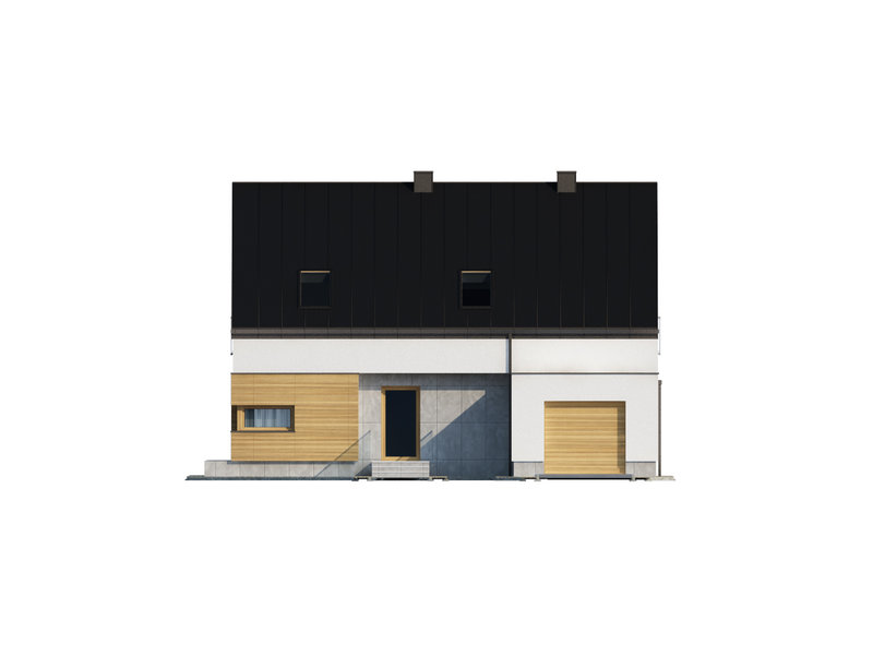 Amoniusz - miniatura 5