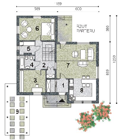 WB-3492 - miniatura 7