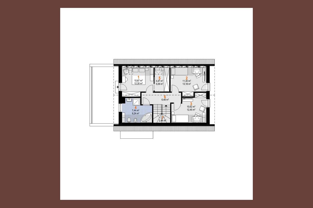Dingo Beta - miniatura 8