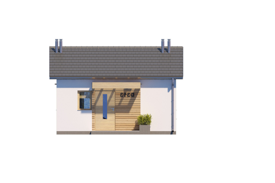 D313 (odbicie lustrzane) - miniatura 7
