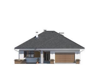 Kiwi 5 (odbicie lustrzane) - miniatura 5