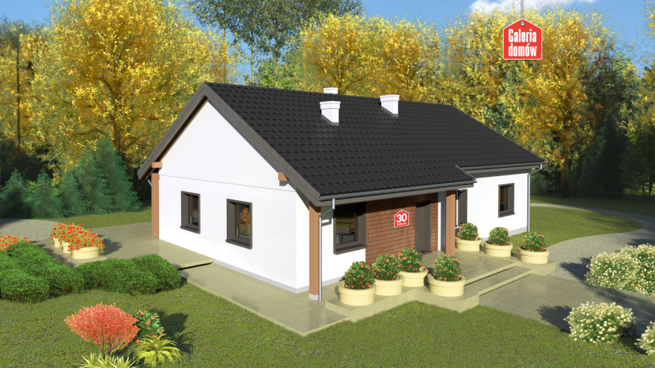 budowa domu Dom przy Bukowej 30 (odbicie lustrzane) - New-House