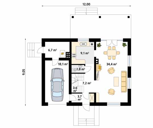 Arnika 2 - miniatura 4