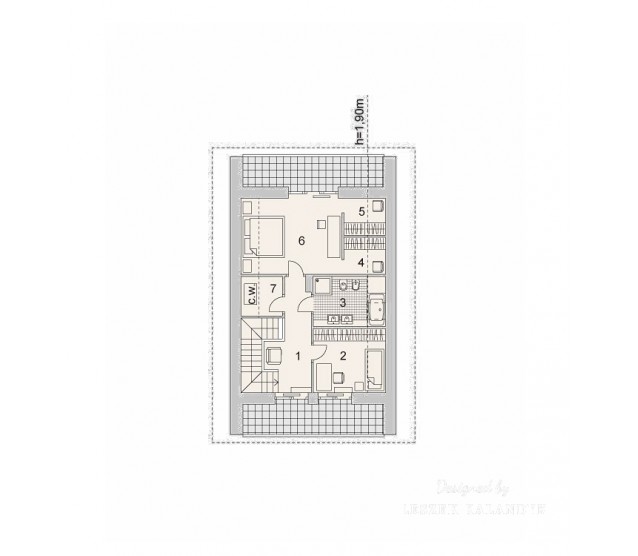 LK&1125 - miniatura 3