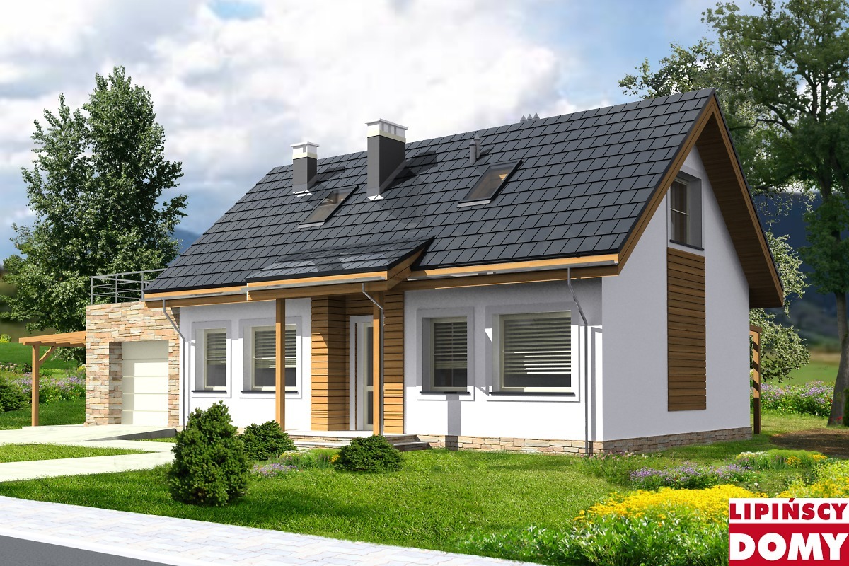 budowa domu Leon II DCP231a - New-House
