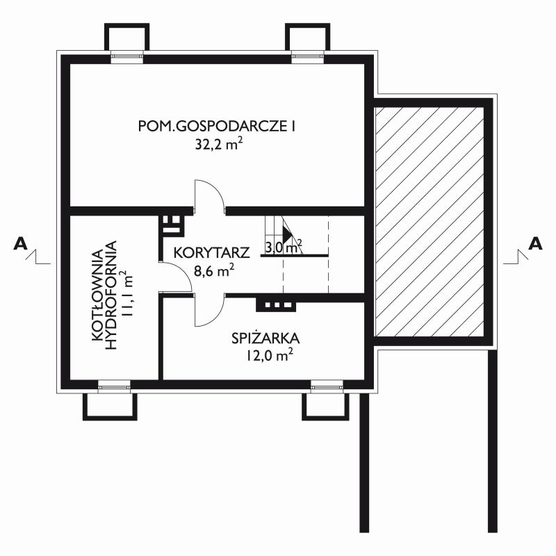 Aster-2 - miniatura 4