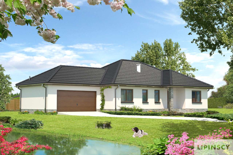 Budowa domu Aleksandria II DCP170a (odbicie lustrzane) z New-House